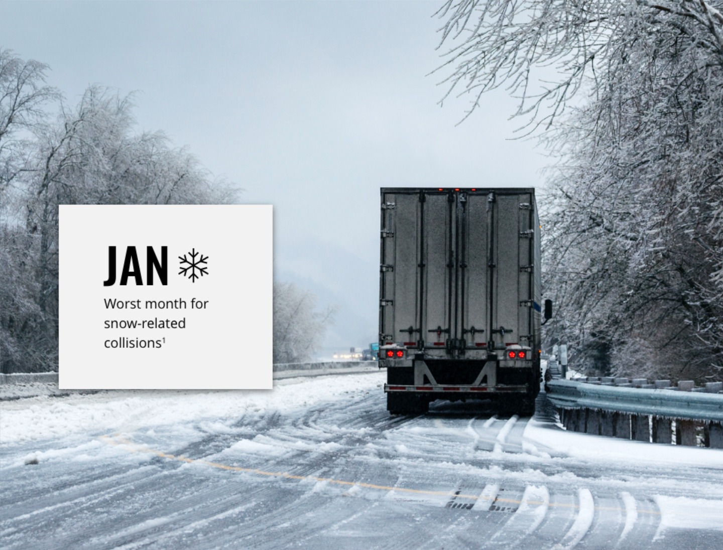 snow-jan